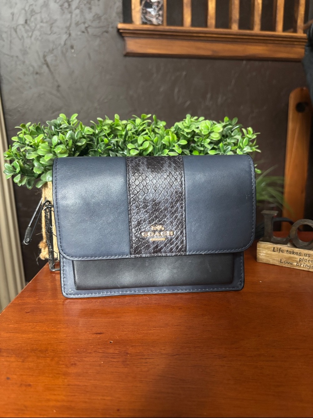 Coach Hayden Foldover Crossbody Clutch